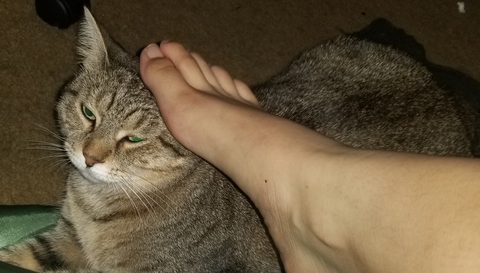 toes_hime leaked gallery photo 2