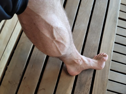 View Tommy Calves (tommy_calves) OnlyFans 203 Photos and 89 Videos for free 

 picture 2