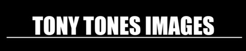 tonytones OnlyFans Leaks (1768 Photos and 16 Videos) 

 picture 2