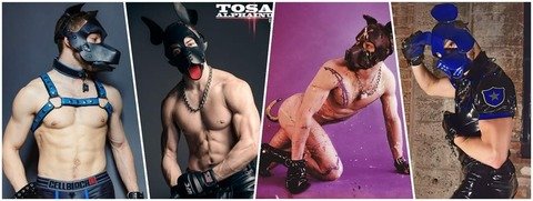 Free access to @tosaalphainu Leaked OnlyFans 

 picture 2