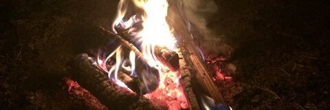 twilliam leaked gallery photo 2
