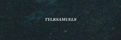 tylrsamuels OnlyFans Leaks 

 picture 2