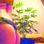 u228668278 OnlyFans Leak 

 picture 1