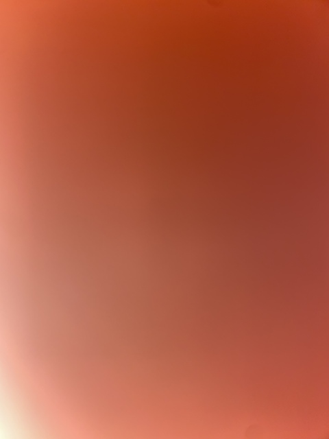 u86697782 OnlyFans Leak 

 picture 2