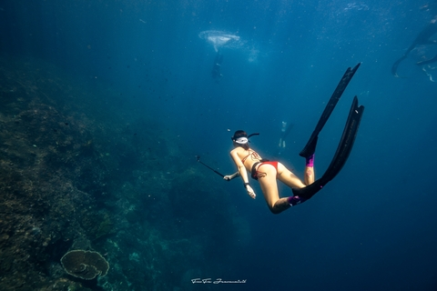 Onlyfans leaks underwaternova 

 picture 2