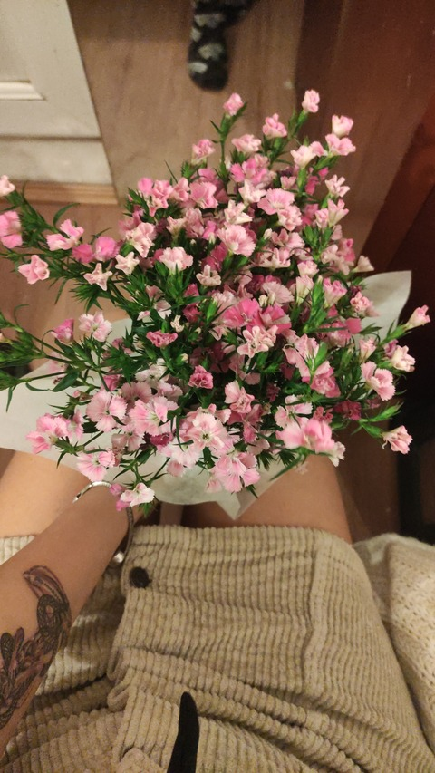 View veganravioli (Baby) OnlyFans 272 Photos and 143 Videos leaked 

 picture 2