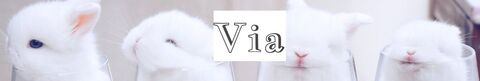 Onlyfans free content viahub 

 picture 2