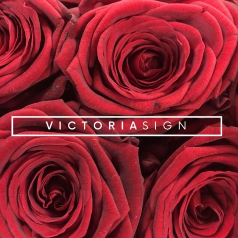 Download victoriasign OnlyFans videos and photos free 

 picture 2