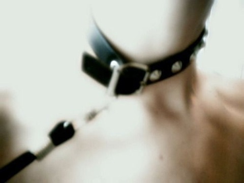 virtualpet (angel) OnlyFans Leaked Videos and Pictures 

 picture 2
