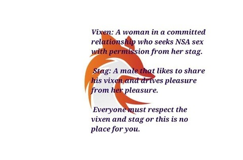 View vixenmc1r (Summer Fox) OnlyFans 11 Photos and 0 Videos leaks 

 picture 2