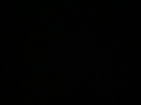 vlaanderen leaked gallery photo 2