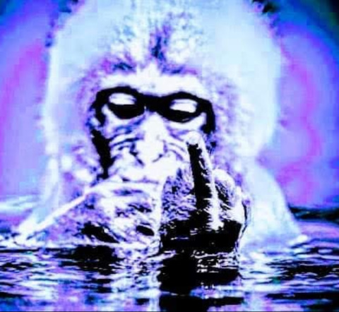 wet-monkey OnlyFans Leaks (124 Photos and 20 Videos) 

 picture 2