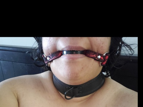 Download whipher OnlyFans content free 

 picture 2