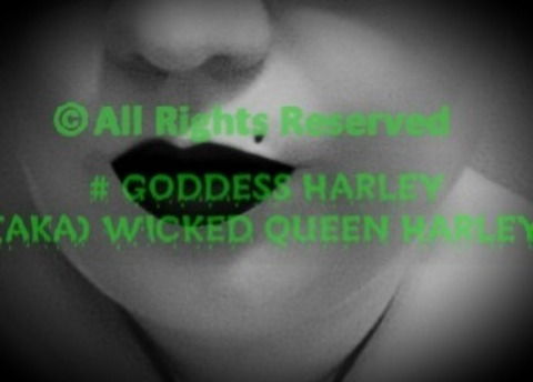 @wicked_queen_harley leak Onlyfans content free 

 picture 2