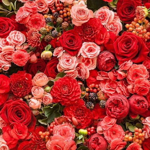 wiildflowerrr leaked gallery photo 2
