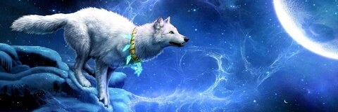 Download wolfire1 OnlyFans content free 

 picture 2