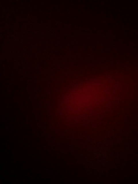 wout258 leaked gallery photo 2