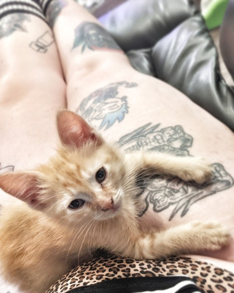 Download wreckless_erica OnlyFans videos and photos free 

 picture 2