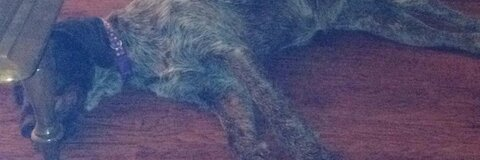wtharper leaked gallery photo 2