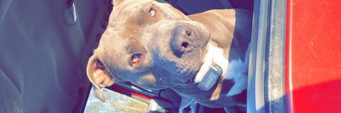 Onlyfans leak wyattm.98 

 picture 2