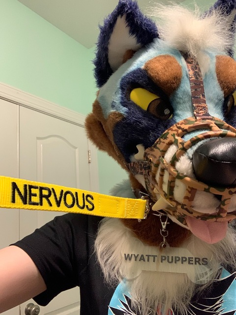 wyattpuppers OnlyFans Leaked Photos and Videos 

 picture 2