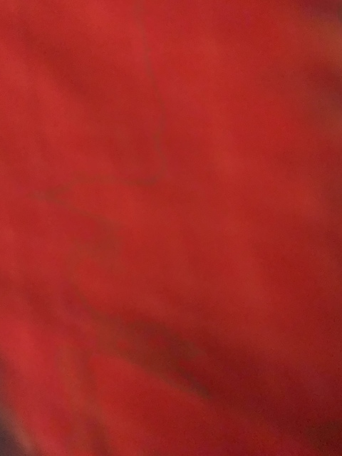 xo.angeleyez OnlyFans Leaked 

 picture 2