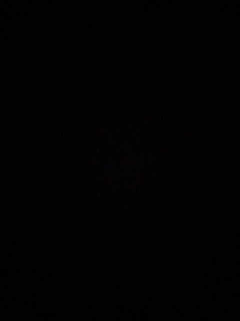 xo_lottie OnlyFans Leaked Photos and Videos 

 picture 2