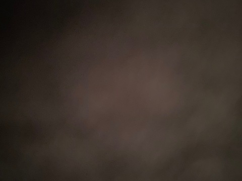 xxbbunnyxx (Bailee James) OnlyFans Leaked Videos and Pictures 

 picture 2