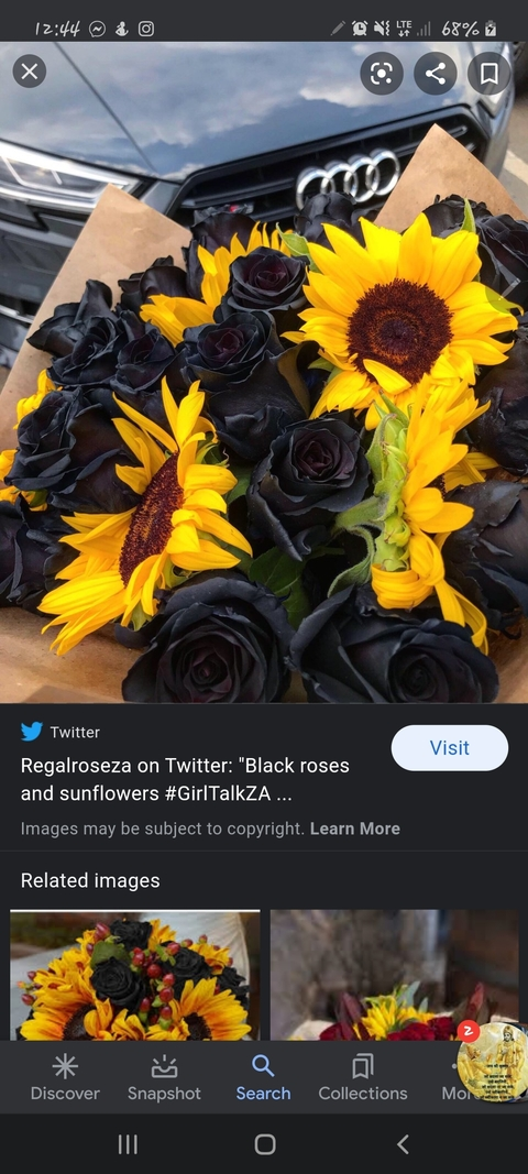 xxxsupathowed OnlyFans Leaks 

 picture 2