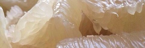 yalissa leaked gallery photo 2