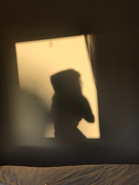 yourangelphoebe (Phoebe) OnlyFans content 

 picture 2