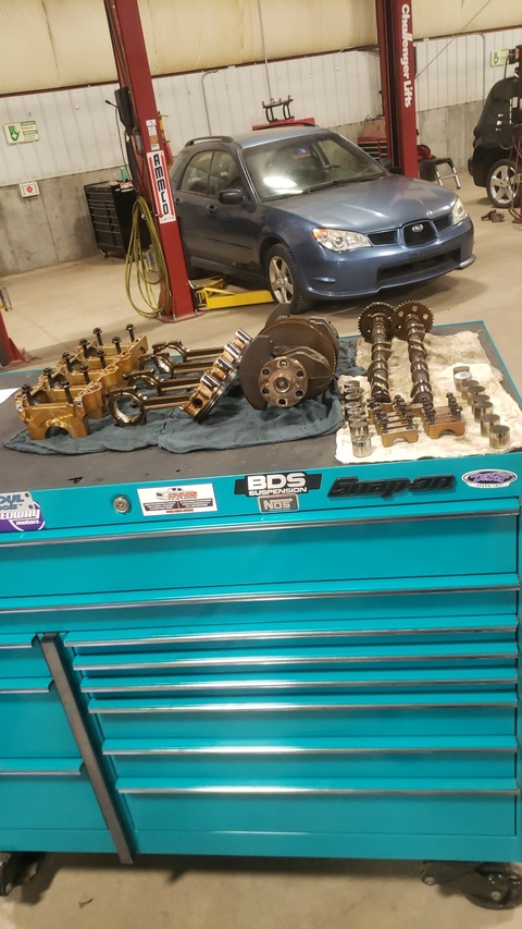 Onlyfans leaked yourfemalemechanic99 

 picture 2