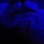 zena20 OnlyFans Leak (454 Photos and 16 Videos) 

 picture 1