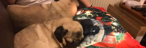 zoestagram OnlyFans Leaked (0 Photos and 0 Videos) 

 picture 2