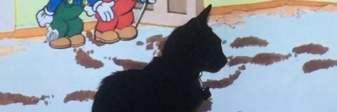 zorrotumb leaked gallery photo 2